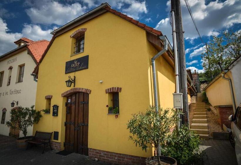 پانسیون Penzion Sklep Sv. Urbana