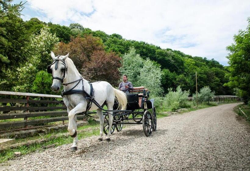 Pensiune Restaurant Tara Luanei