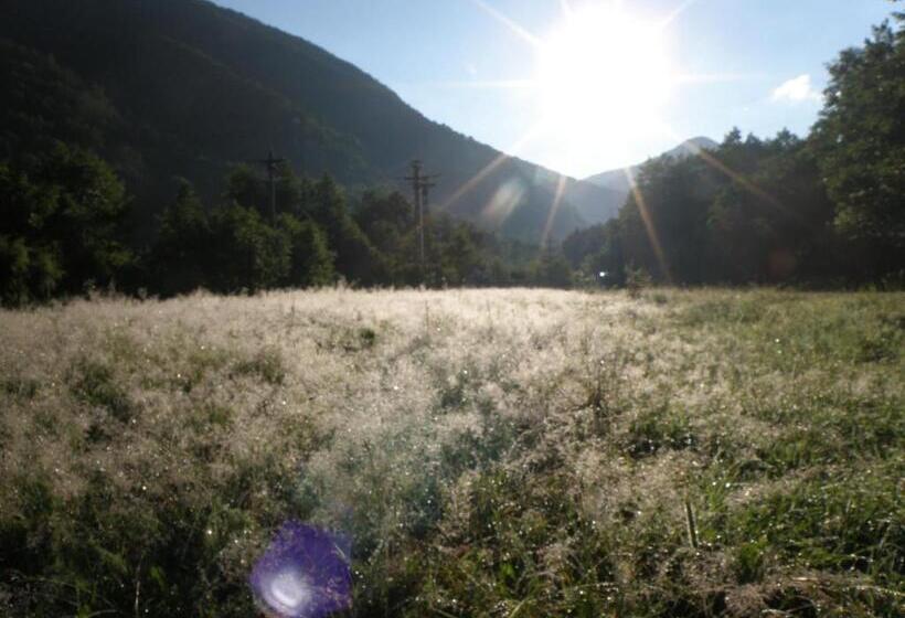 Pensiunea Dumbrăvița