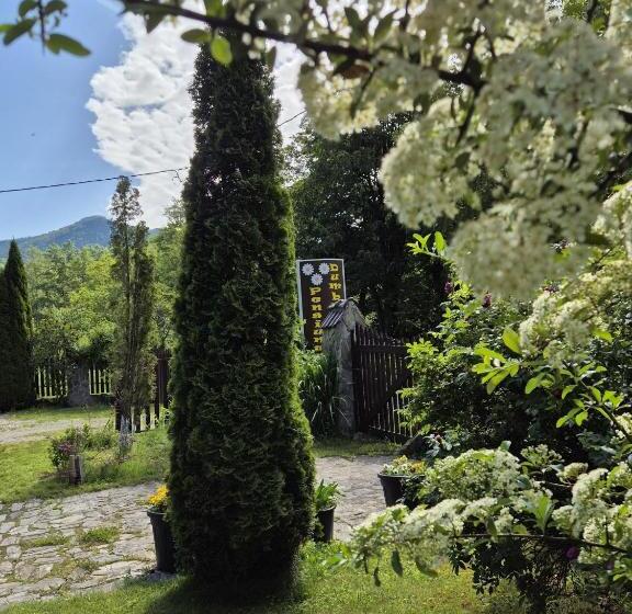 Pensiunea Dumbrăvița
