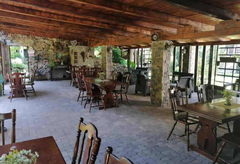 Pensiunea Dumbrăvița