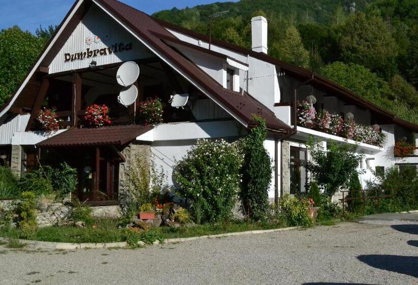 Pensiunea Dumbrăvița