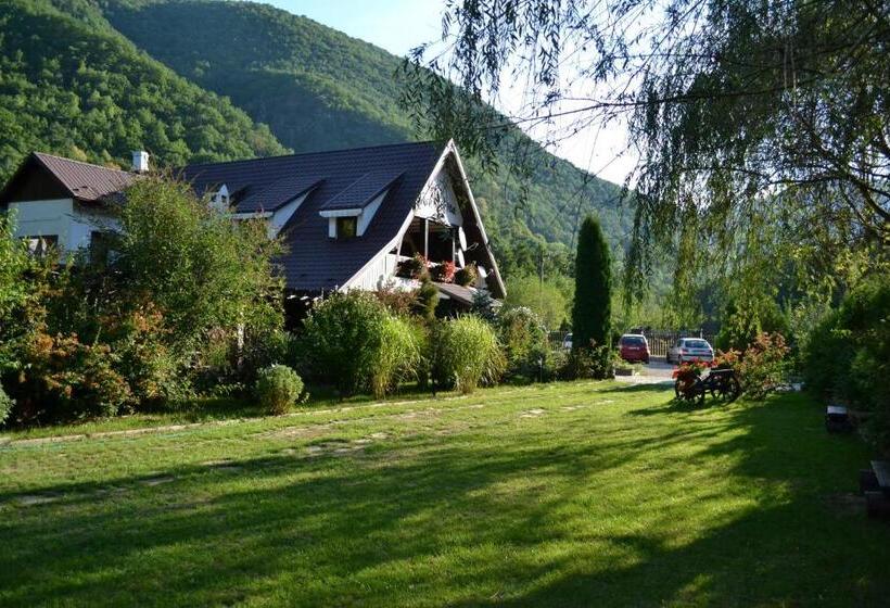 Pensiunea Dumbrăvița