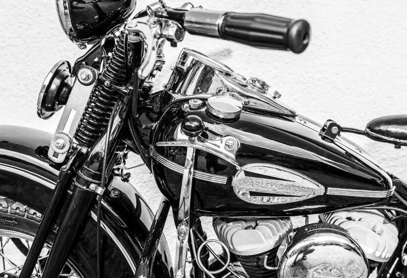 בית מלון כפרי Al Plan, A Mountain Moving