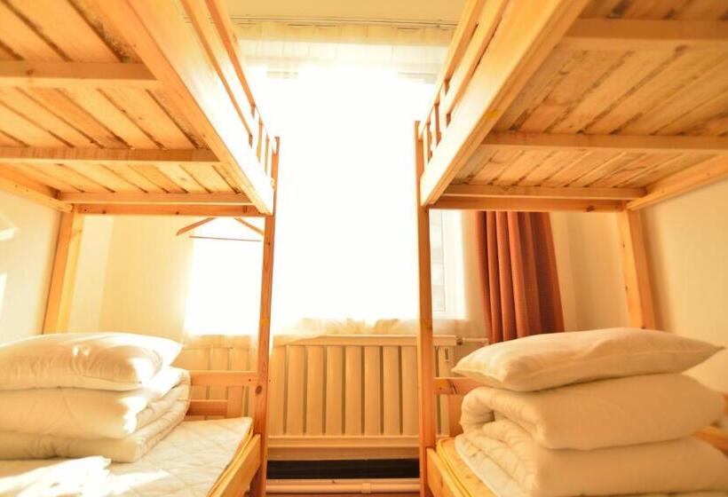 ユースホステル 大连天天青旅民宿