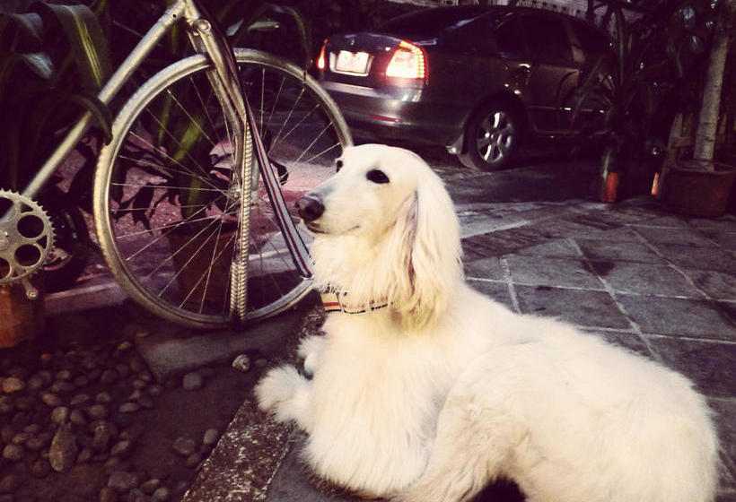 Hostel No Kidd Inn Yangshuo