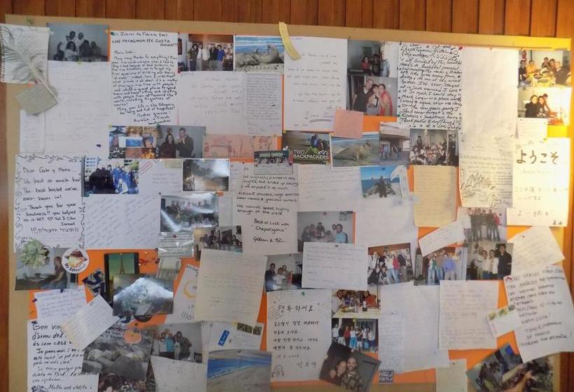 Chepatagonia Hostel & Experiences