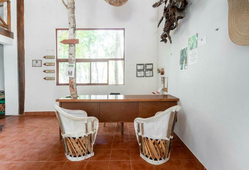 Ecovergel Hotel Riviera Maya