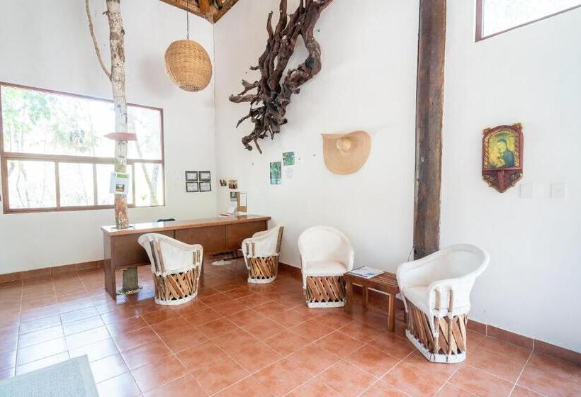 Ecovergel Hotel Riviera Maya