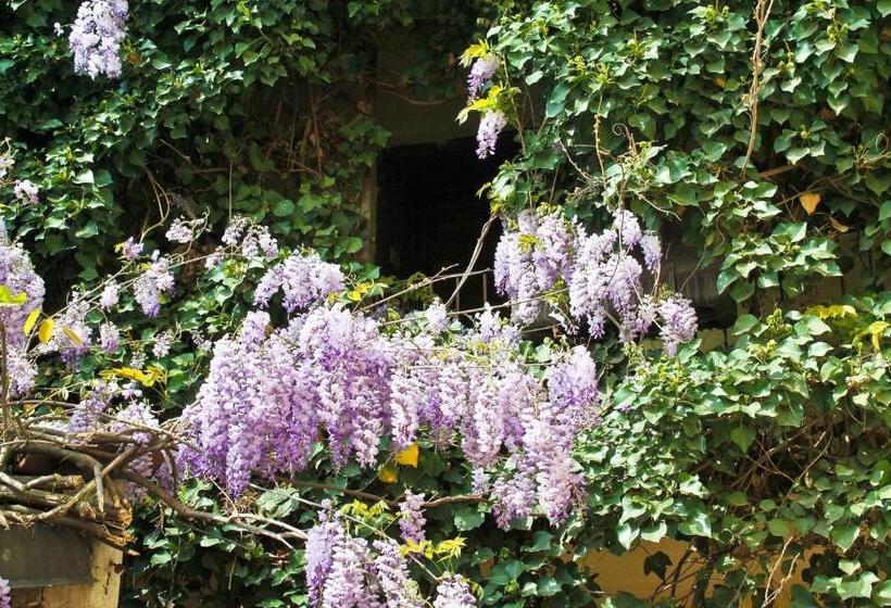 בית מלון כפרי Fiera Rho