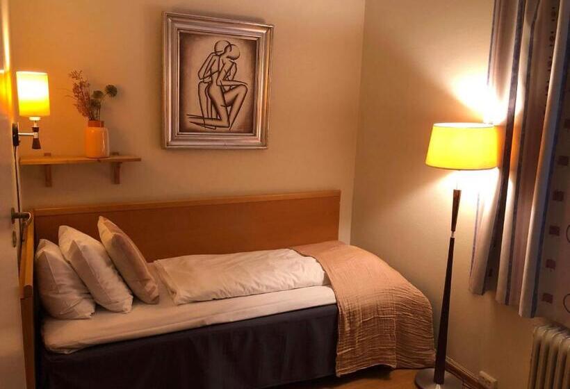 هتل Horten Budget