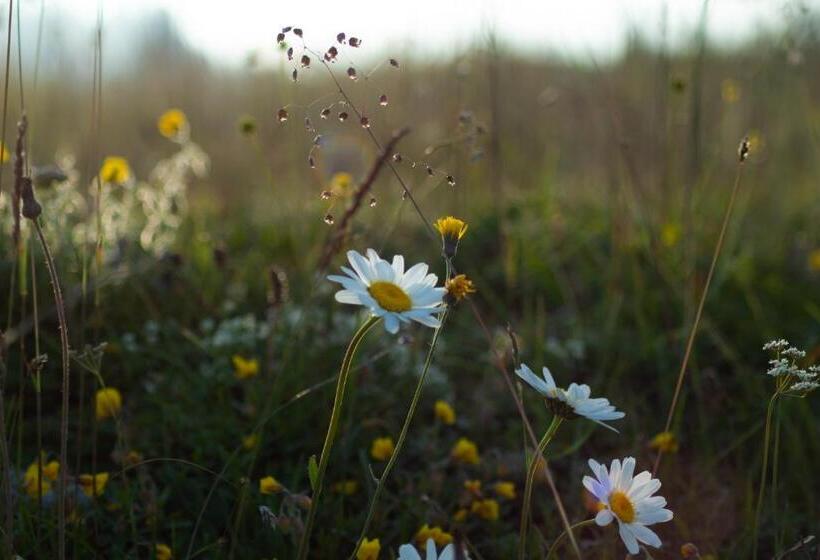 בית מלון כפרי Kube