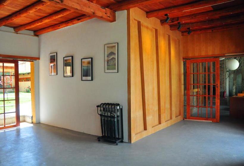 בית מלון כפרי The Vitality Inn