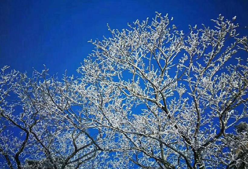 فندق Huangshan Joymoon