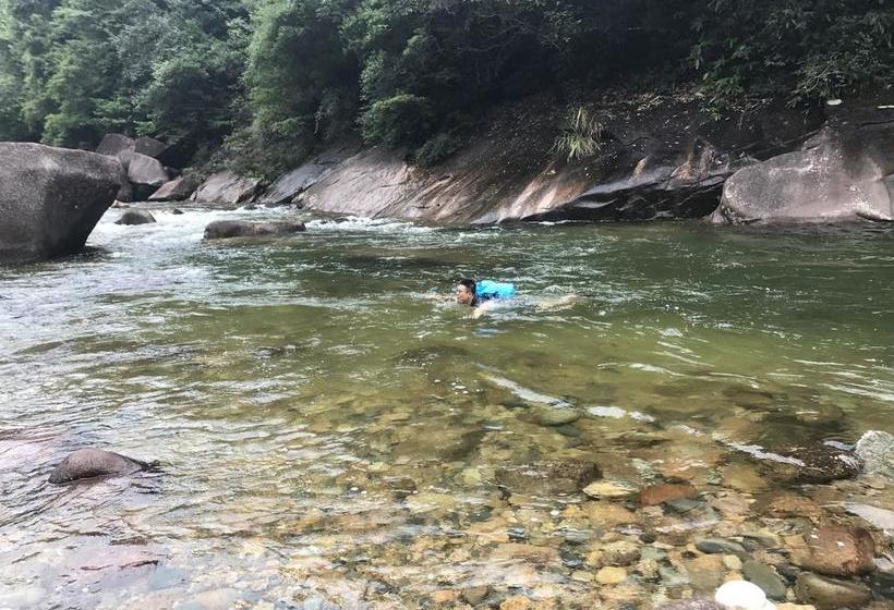 Wuyi Mountain Da Wang Peak Youth Hostel