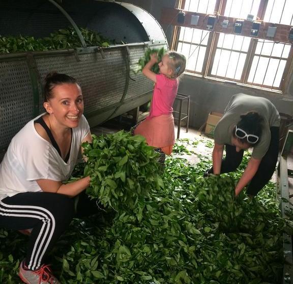 Wuyi Mountain Da Wang Peak Youth Hostel