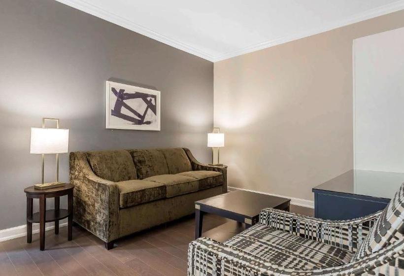 בית מלון כפרי King 583