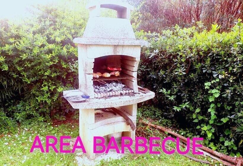 בית מלון כפרי Albachiara Inn