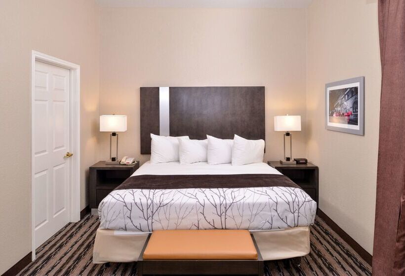 호텔 Best Western Boerne Inn & Suites