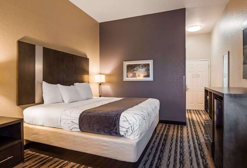 호텔 Best Western Boerne Inn & Suites