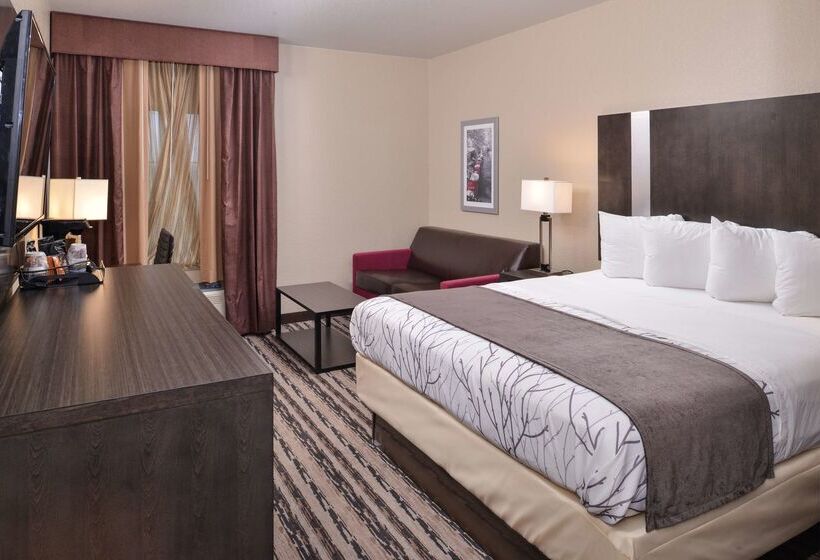 호텔 Best Western Boerne Inn & Suites