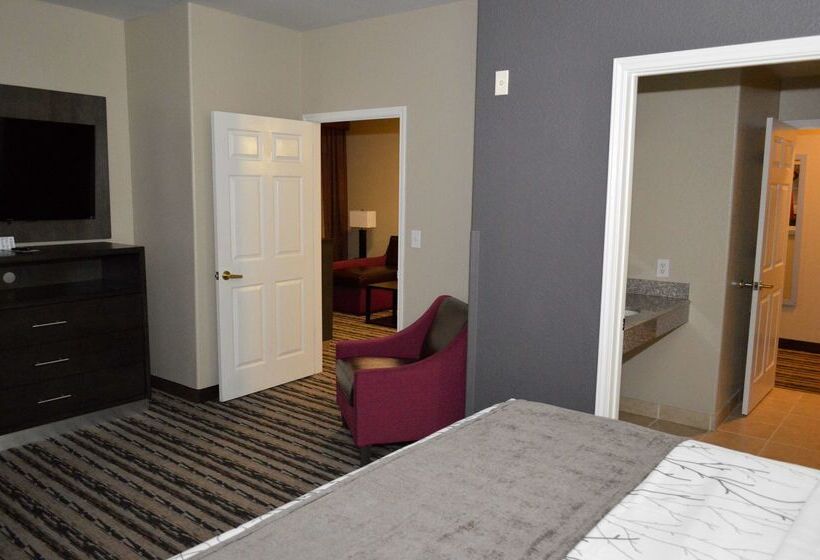 호텔 Best Western Boerne Inn & Suites