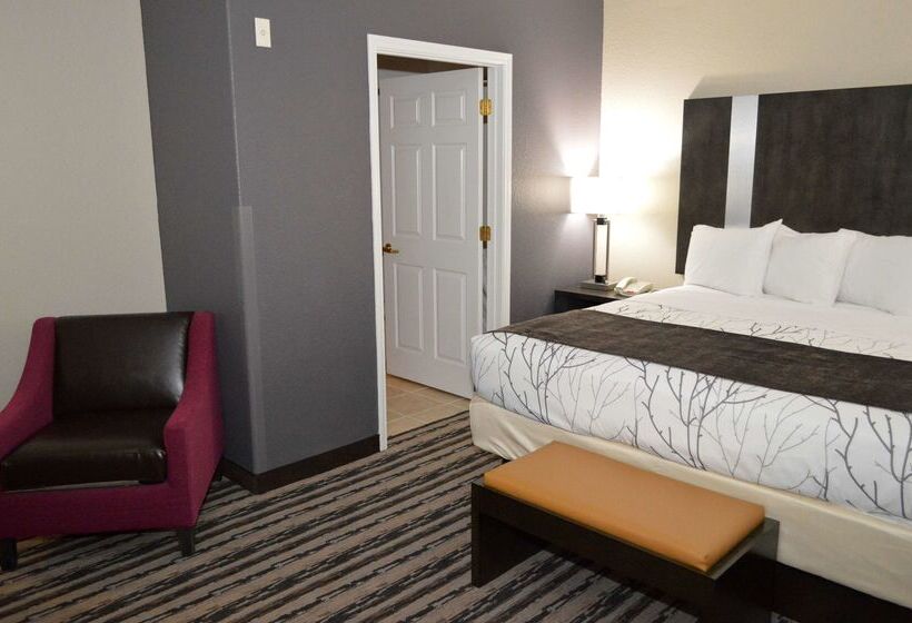 호텔 Best Western Boerne Inn & Suites