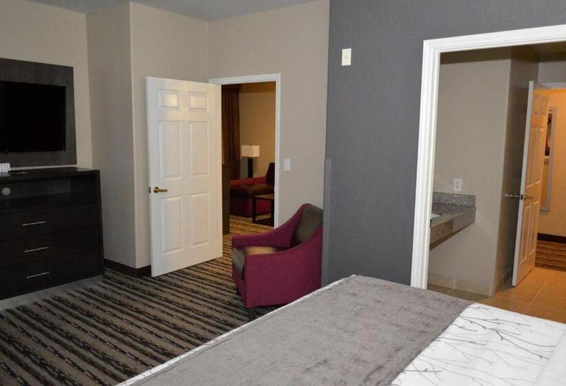 호텔 Best Western Boerne Inn & Suites