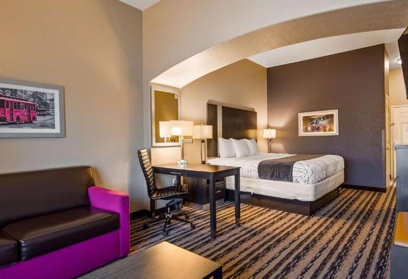 호텔 Best Western Boerne Inn & Suites