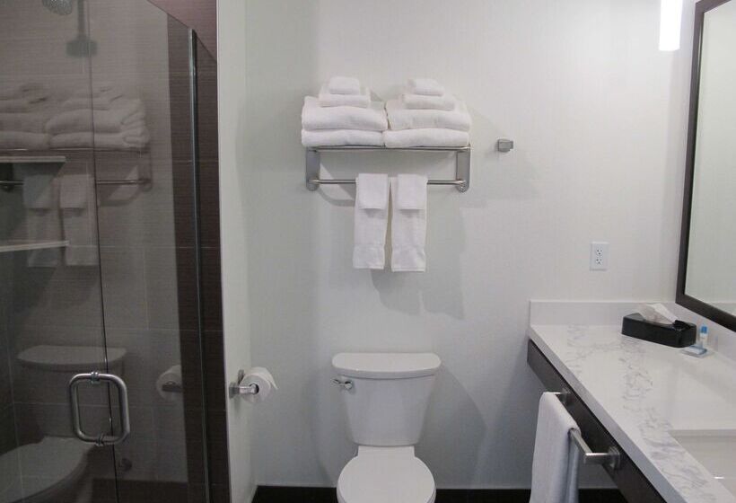 בית מלון כפרי Best Western Plus Peppertree Nampa Civic Center Inn
