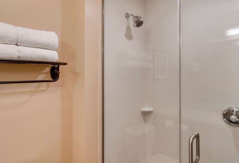 Best Western Plus Tuscumbia/muscle Shoals Hotel & Suites