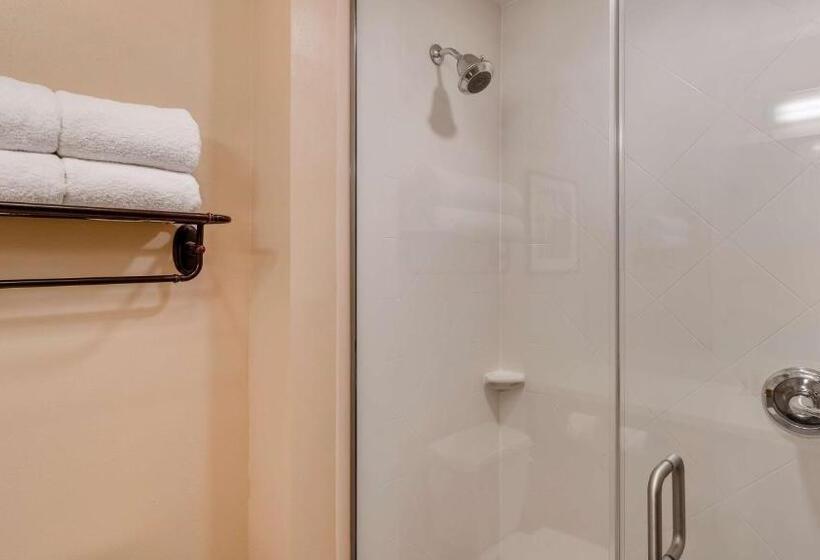 Best Western Plus Tuscumbia/muscle Shoals Hotel & Suites