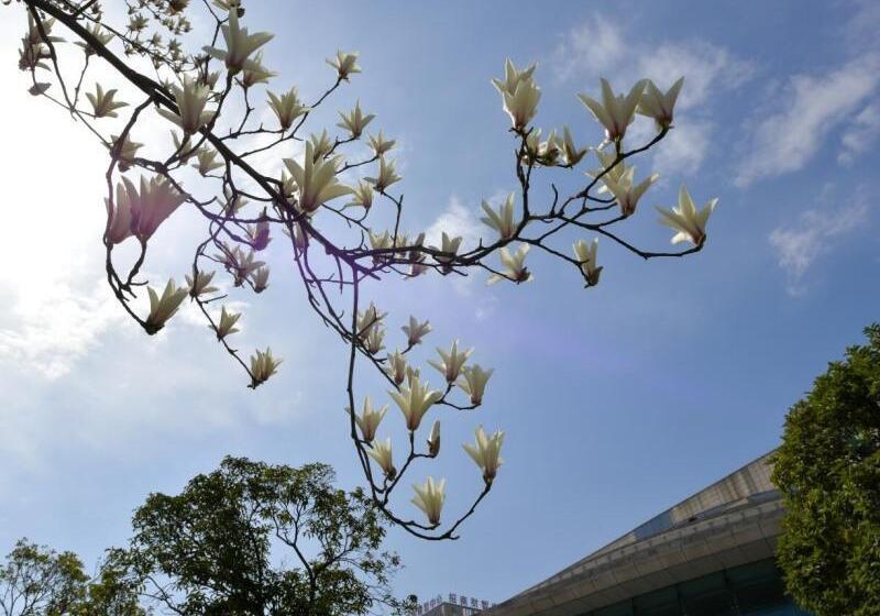 فندق Greentree Eastern Bijie Qixingguan Zhaoshanghuayuan