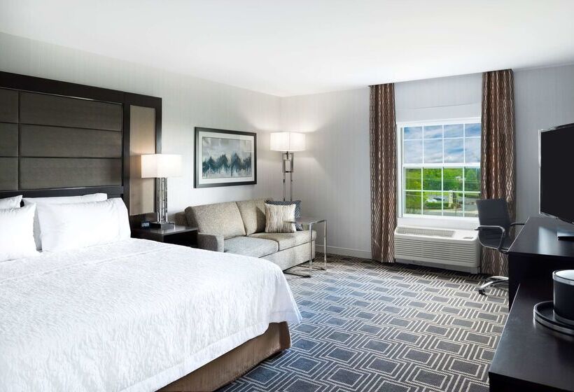 فندق Hampton Inn & Suites Bridgewater