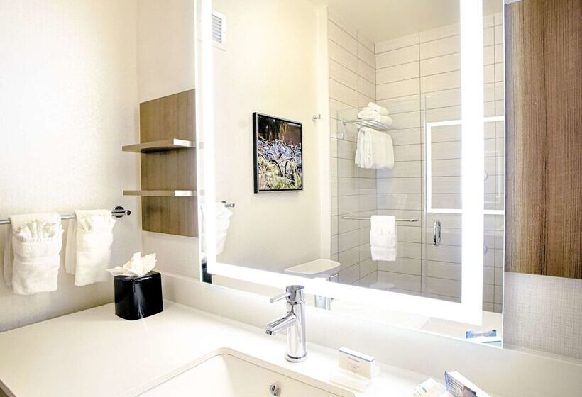 فندق Hilton Garden Inn Santa Barbara/goleta