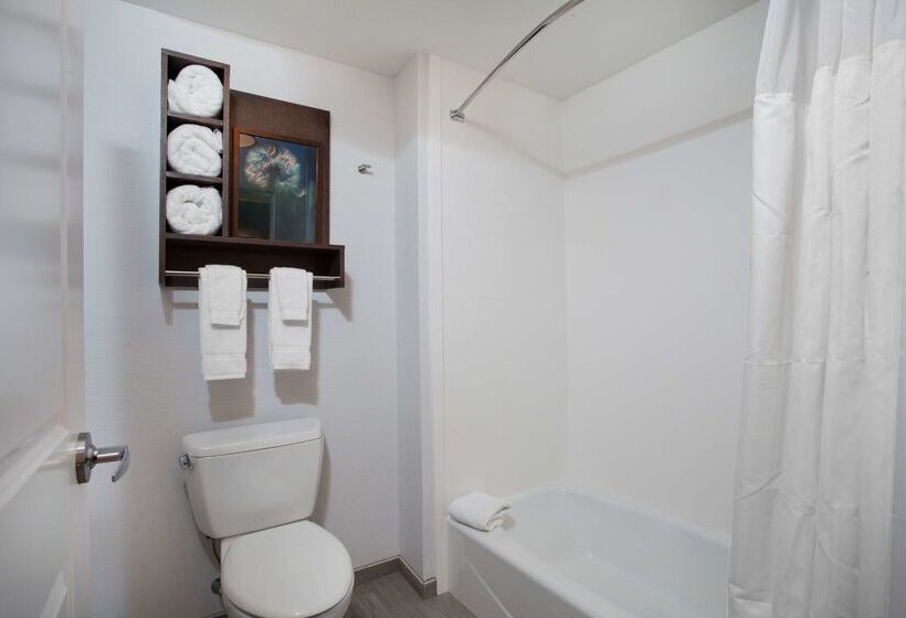 هتل Homewood Suites By Hilton Saratoga Springs