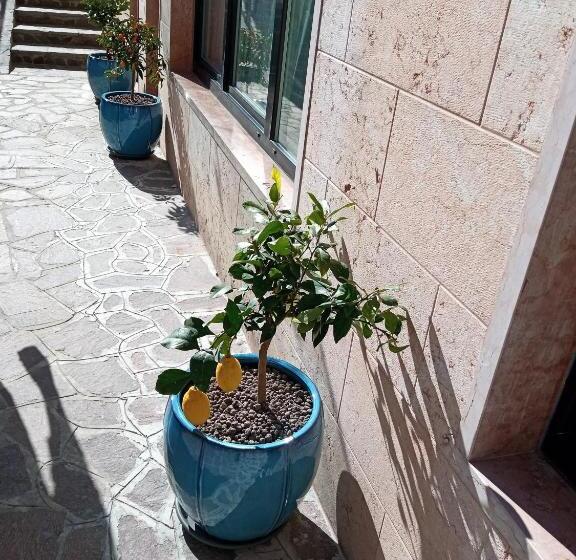 בית מלון כפרי Orchidea