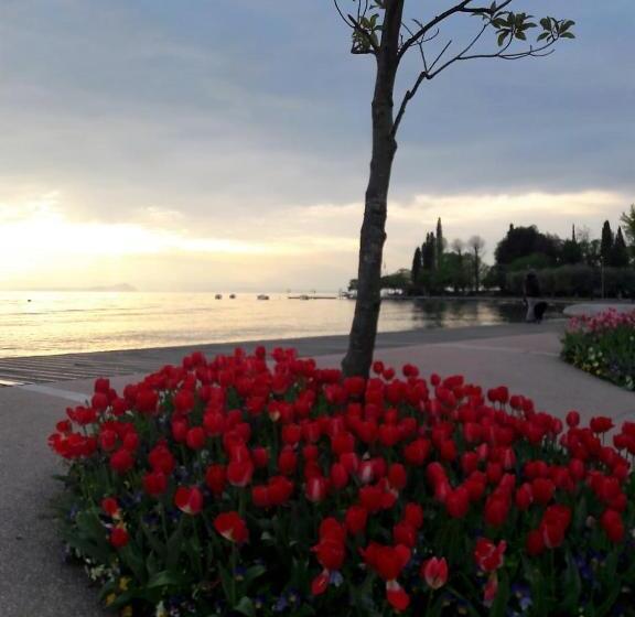 בית מלון כפרי Orchidea