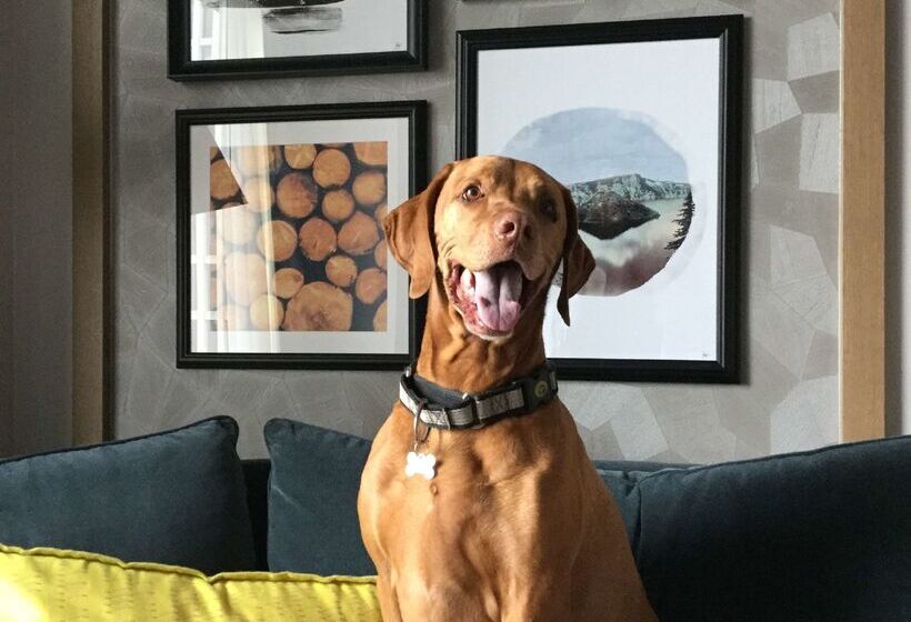 ホテル The Duniway Portland A Hilton