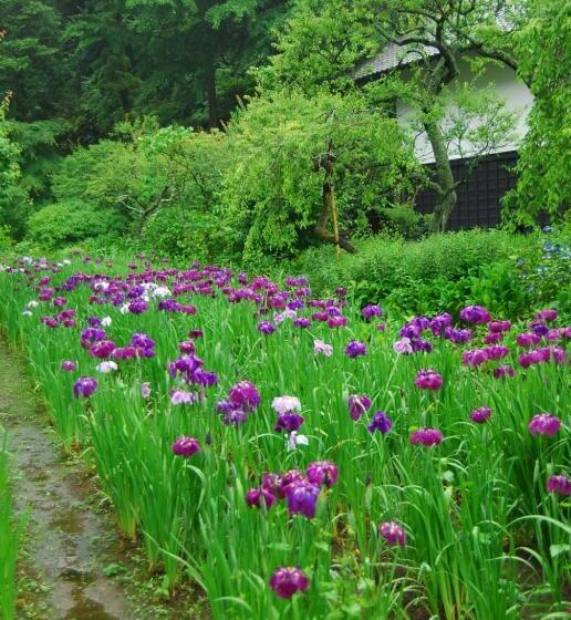 호스텔 Enoshima Guest House 134