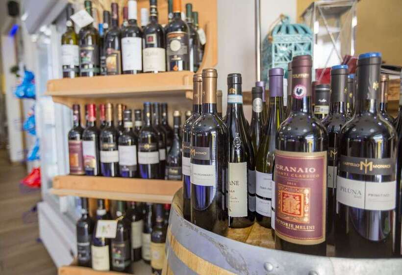 مبيت وإفطار Belvedere Rent Rooms