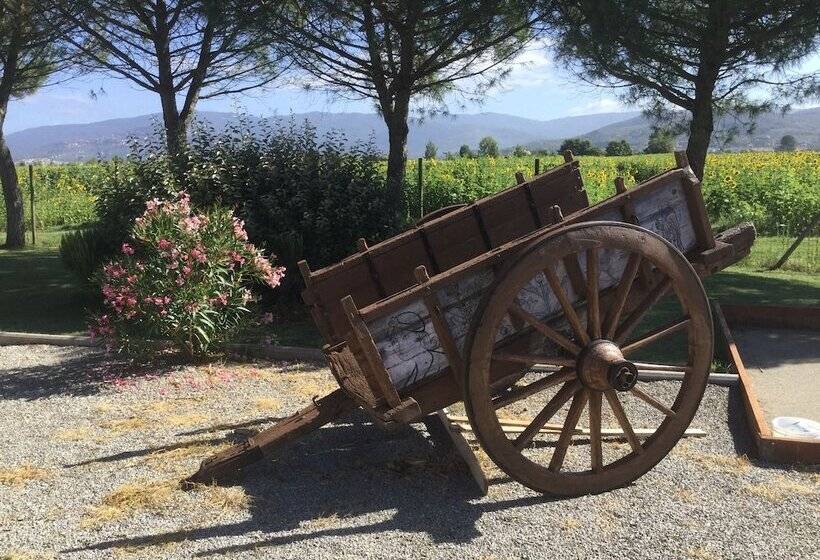酒店 Agriturismo Terra Di Cortona