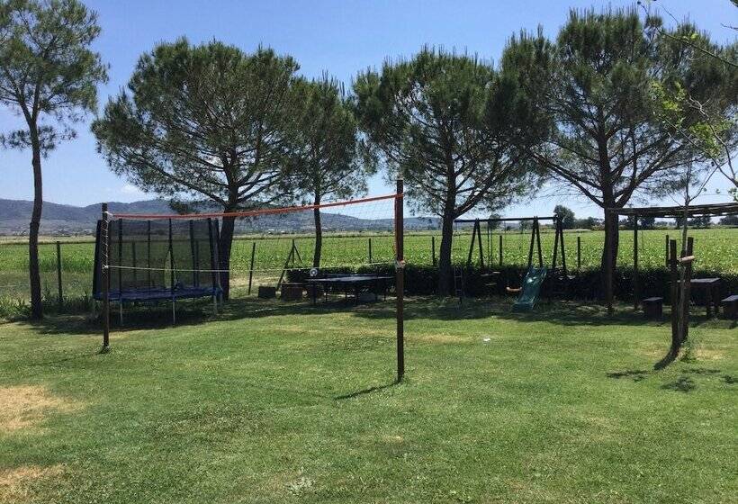 酒店 Agriturismo Terra Di Cortona