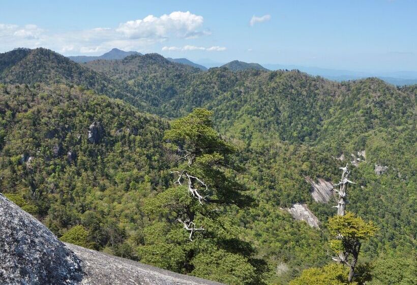Apa Hotel Miyazaki Nobeoka Chuo
