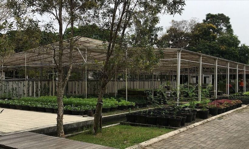 בית מלון כפרי Citrushouse.com