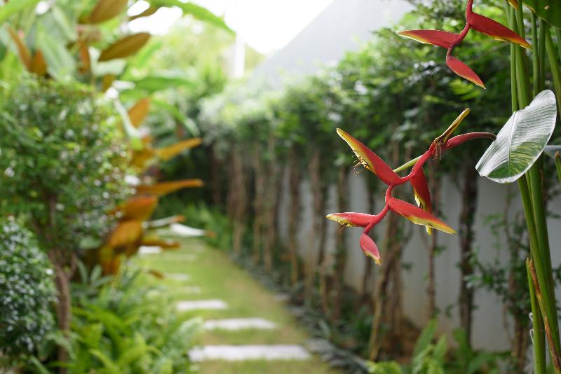 هتل Costa Village Bangsaray