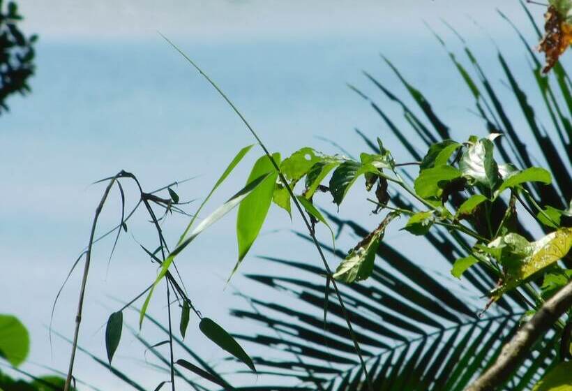 هتل G.a.u. Mechang Lagoon Resort