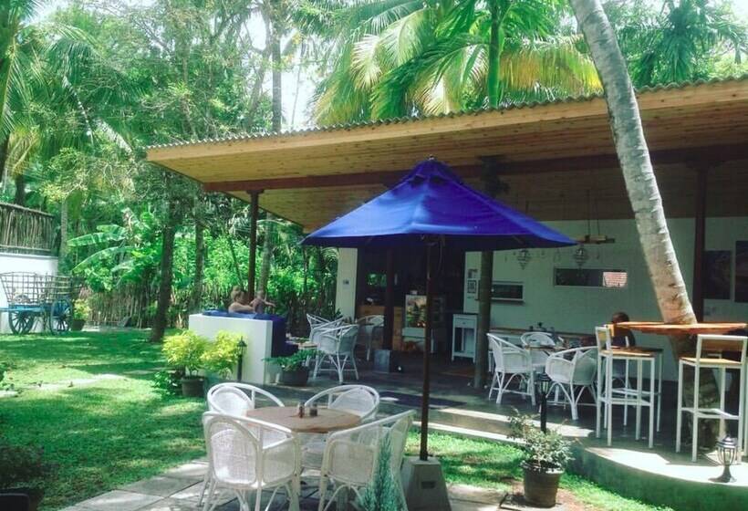 Отель Salt House