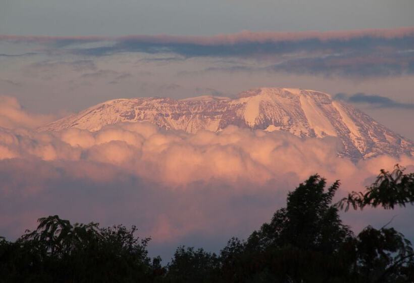 호텔 Ngare Sero Mountain Lodge