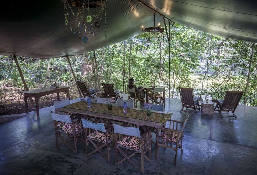 호텔 Ngare Sero Mountain Lodge